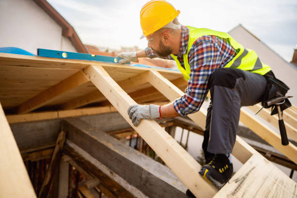 Best Roof Gutter Cleaning  in New Lisbon, WI