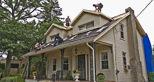 Best New Roof Installation  in New Lisbon, WI