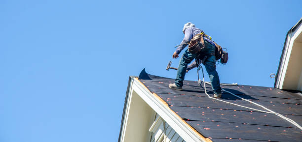 Best Roof Waterproofing Services  in New Lisbon, WI